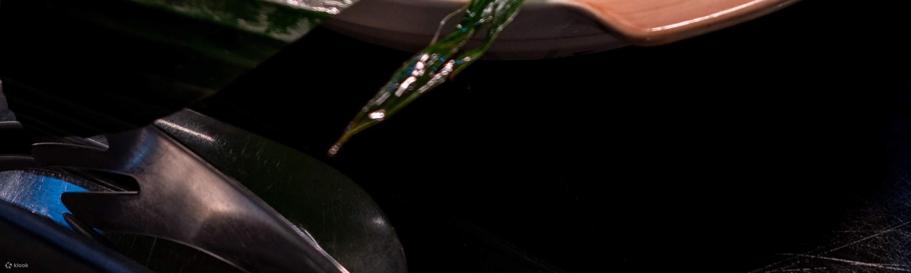 Khuyến mãi đồ ăn Buffet tối